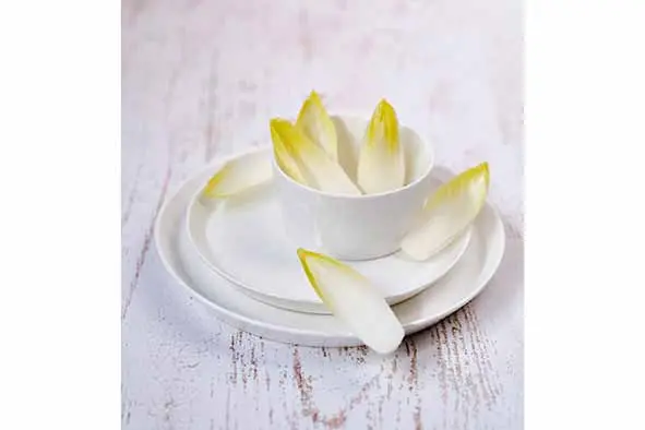 895001 oslo kom sfeerfoto.webp