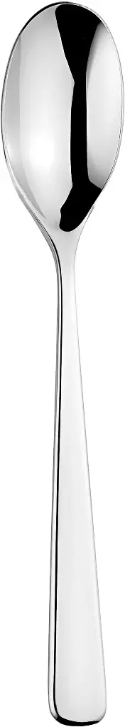 Dessertlepel Slow 3.00 mm - L190mm