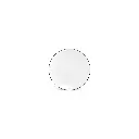 Basic White Plat bord 20,5cm coupe - black rim 
