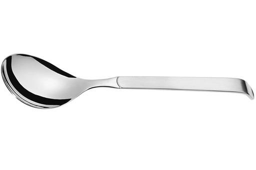 [9386689] Buffet RVS Slalepel/serveerlepel Groot 