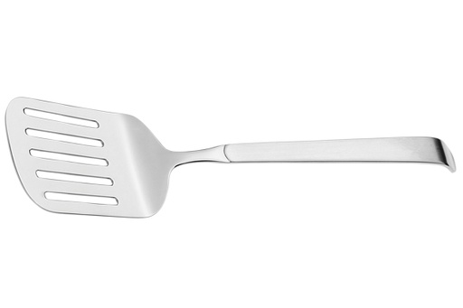 [6678231] Buffet RVS Visschep/spatel